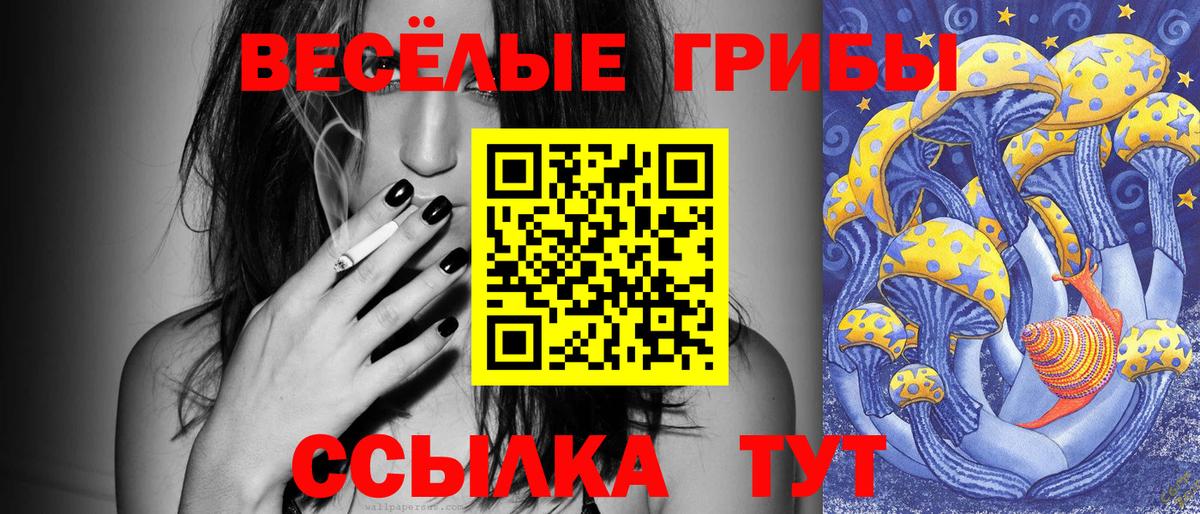 Галлюциногенные грибы прущие грибы  Вход с VPN  Галлюциногенные грибы ЛСД  Рыбинск 